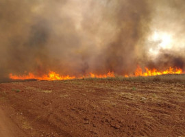 Desde 20 de julho, todas as autorizações ambientais para queima controlada no Tocantins estão proibidas