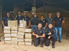 olícia Civil do Tocantins realizou a incineração de aproximadamente 400 kg de maconha, 