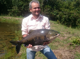 O tambaqui representa 48% da produção tocantinense de pescado 