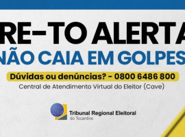 Golpistas usam sites falsos para cobrar por documentos que a Justiça Eleitoral oferece de forma gratuita