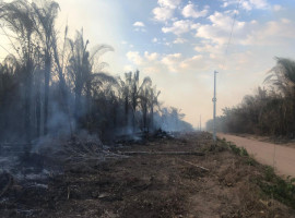 Focos de incêndio ameaçam rede elétrica e afetam milhares de famílias no Tocantins.