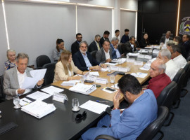 O Conselho de Desenvolvimento Econômico (CDE) aprovou nesta quarta-feira, 21, a concessão de incentivos fiscais para empreendimentos em Palmas, Araguaína, Barra do Ouro e Pindorama. A expectativa é de que as empresas beneficiadas façam investimentos 