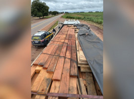 rante a fiscalização, os policiais constataram inconsistências na documentação ambiental apresentada.