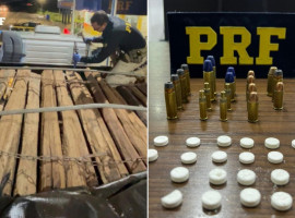 PRF apreende caminhão com madeira de espécie ameaçada, munições e rebite durante fiscalização na BR-153, em Araguaína 