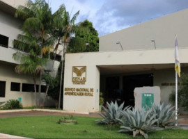 Senar Tocantins oferece cursos técnicos gratuitos em Zootecnia e Segurança do Trabalho em três municípios
