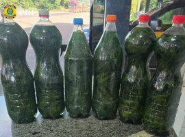 Garrafas com líquido de odor alcoólico e material vegetal semelhante à maconha foram apreendidas pela PRF na BR-153, em Paraíso do Tocantins