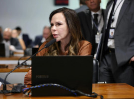 Senadora Professora Dorinha Seabra (União) solicitou audiência de emergência com ministro dos Transportes para tratar da interdição da ponte de Pedro Afonso 