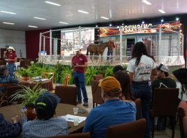Araguaína Horse  abriu o circuito de leilões da Expoara 2026 com a comercialização de animais de alto padrão genético.