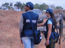 Vagas são para atuação no Censo Agropecuário, Florestal e Aquícola