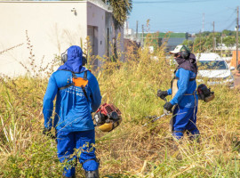 Quando a prefeitura executa o serviço na área particular, é feita a cobrança dos custos da operação, incluindo roçagem, coleta, transporte e destinação dos resíduos no próximo IPTU