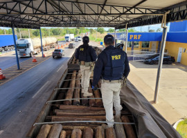 PRF apreendeu carga de madeira nativa irregular durante fiscalização na BR-153, em Araguaína.