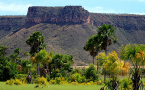 Tocantins lidera o crescimento em sustentabilidade ambiental no país entre 2023 e 2025, segundo o Ranking de Competitividade dos Estados, resultado de políticas públicas integradas, modernização da gestão e ações voltadas à preservação dos biomas Cerrado 