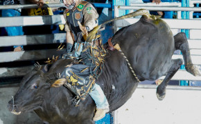 Rodeio da Expoara 2026 tem sido um dos grandes destaques da programação da feira,