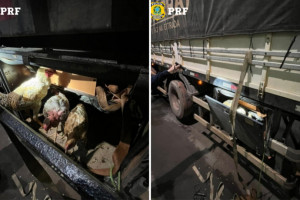 A abordagem aconteceu por volta das 21h, no km 160 da rodovia.