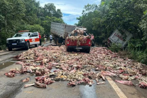 Restos de carne são espalhados pela pista após acidente na BR-010 