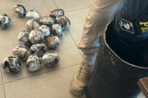 Cilindro de ferro com 18 kg de haxixe e 1 kg de maconha foi localizado pela PRF dentro de mala no compartimento de bagagens do ônibus 