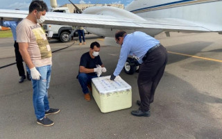 Momento em que a equipe de saúde recebe os testes no aeroporto de Araguaína
