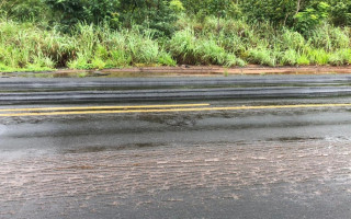 Trecho da rodovia BR-226 que necessita de reparos urgentes