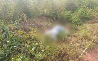 Funcionário encontrado morto a tiros em fazenda a 18 km de Carmolândia. 