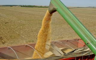 Potencial do agronegócio tem sido estudado cientificamente pelos pesquisadores do Estado