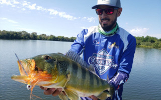 O peixe tucunaré é uma das espécies apreciadas na pesca esportiva