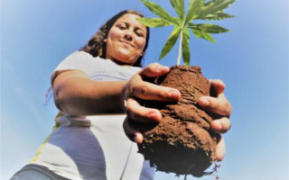 Programação vai até a sexta-feira,5, Dia do Meio Ambiente