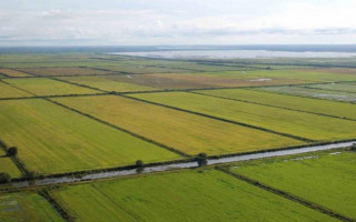 Bacia do Rio Araguaia, no Estado do Tocantins 