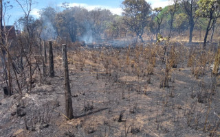 Fogo destruiu área de mais de 50 mil metros quadrados em Paraíso