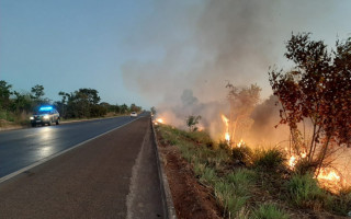 Fogo atingiu extensão de aproximadamente 100 metros