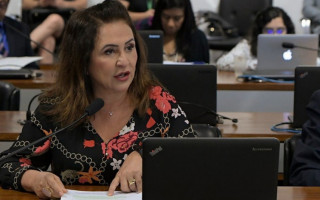 Senadora Kátia Abreu.