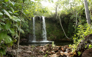 Cachoeira das Araras - Jalapão