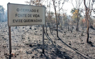 Provocar poluição de qualquer natureza é crime ambiental previsto em Legislação Federal.