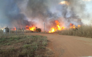 Fogo destruiu área de grandes proporções em Palmas