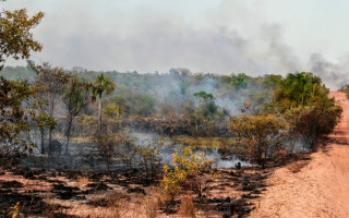 Tocantins conseguiu reduzir em 32% o número de focos de queimadas em seu território em 2021