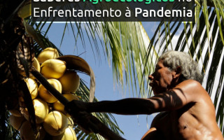 Programação da Semana Agroecológica segue até 21 de agosto.