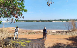 Ruraltins coleta mais de 20 mil sementes nativas