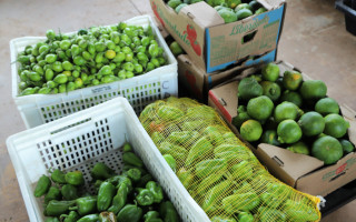 Cada agricultor pode vender até R$ 6.500 em produtos por ano representando até 50% da produção semestral.