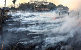Vegetação seca e vento ajudam a espalhar as chamas