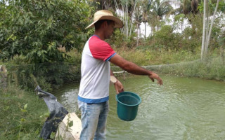Ações vão focar na assistência técnica para o desenvolvimento da avicultura e piscicultura.