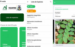 Aplicativo TO VERDE já está disponível para sistemas IOS e Android