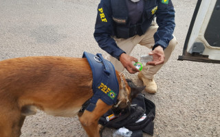 Droga estava em uma mochila escondida entre as cargas.