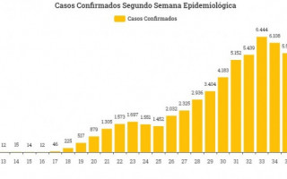 Curva de casos confirmados de acordo com a semana epidemiológica