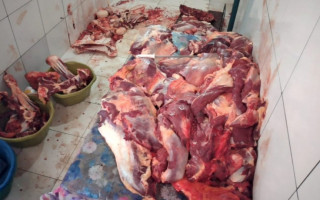 Operação resultou na apreensão 395 kg de carnes provenientes de abate clandestino.