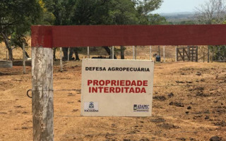 Adapec interditou a fazenda e coletou material nos cochos