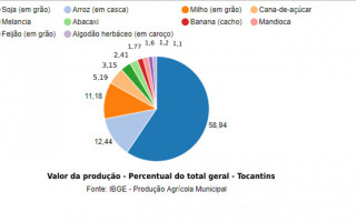 Em 2019, a agricultura tocantinense teve saldo positivo.