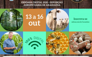 Semana Tecnológica do Sebrae acontecerá entre os dias 13 e 16 de outubro.