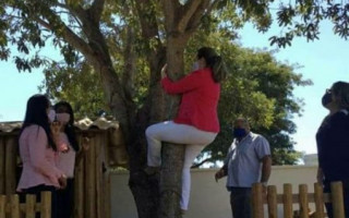 Cínthia Ribeiro subindo em árvore na capital