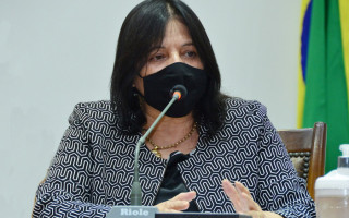 A parlamentar declarou que o reconhecimento dos profissionais é um sonho antigo
