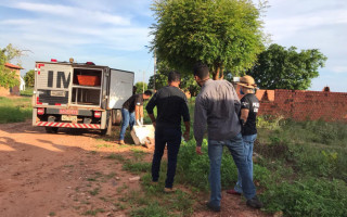 Corpo do idoso foi encontrado por moradores do setor Céu Azul.