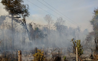 Com o ministro interino do Meio Ambiente, Marcelo Cruz, Claudia Lelis leva a força tarefa de combate às queimadas